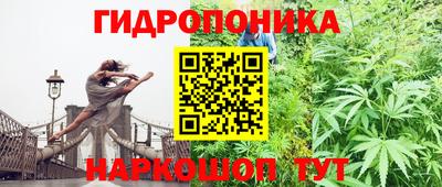 прущие крисы Будённовск