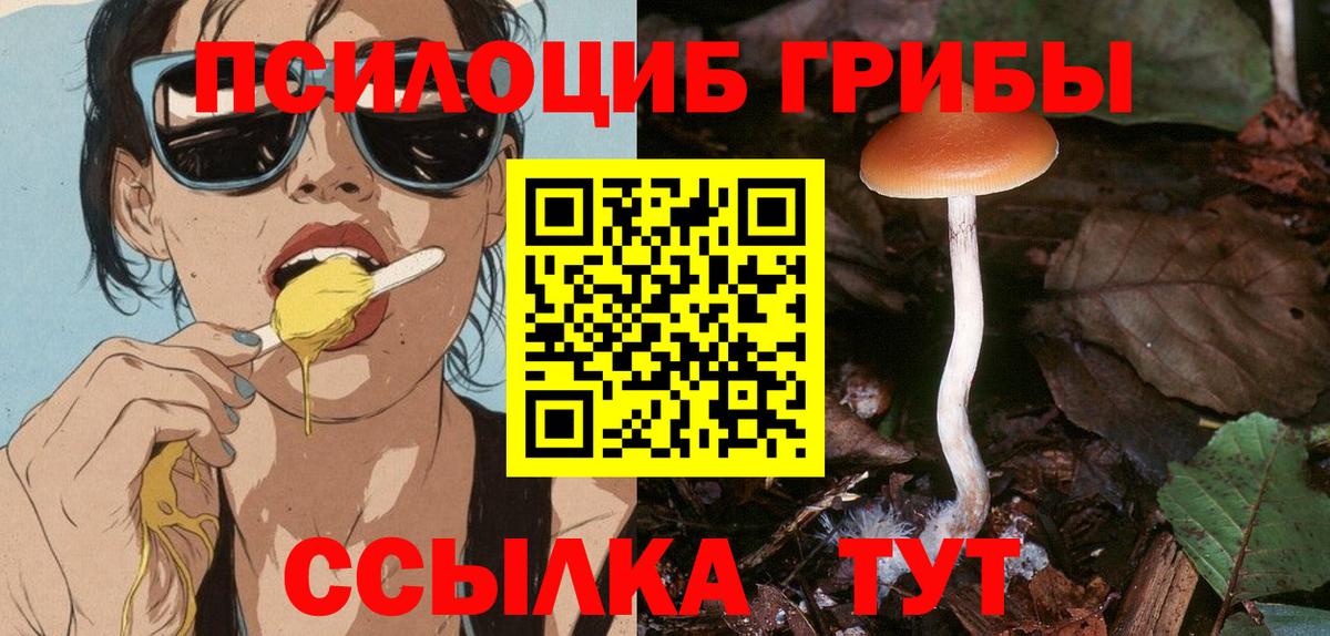 Галлюциногенные грибы GOLDEN TEACHER  Галлюциногенные грибы мицелий  Арсеньев  Вход с VPN 